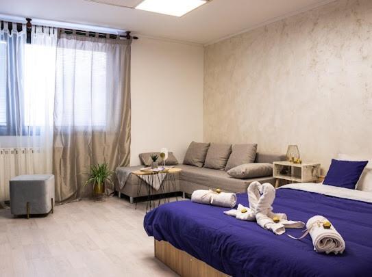 Center Cozy Apartment 수보티차 외부 사진