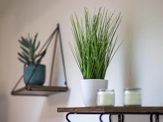 Center Cozy Apartment 수보티차 외부 사진